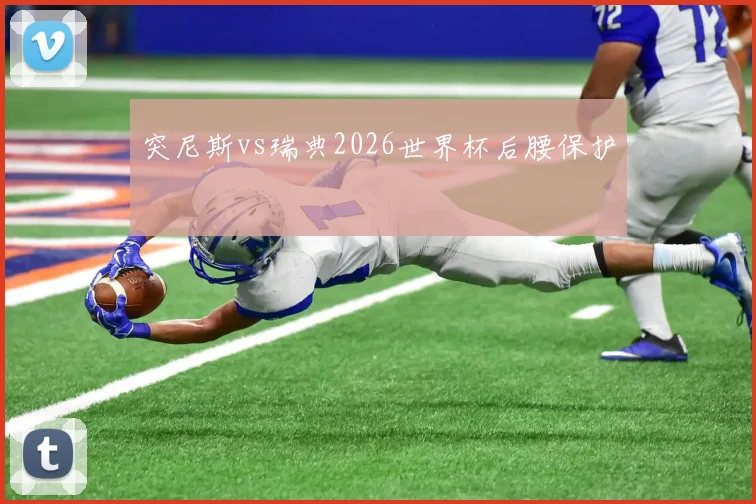 突尼斯vs瑞典2026世界杯后腰保护
