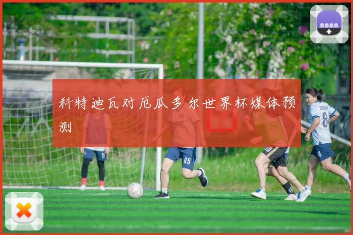 科特迪瓦对厄瓜多尔世界杯媒体预测