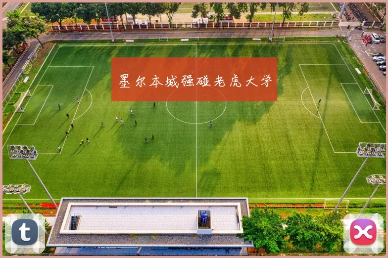 墨尔本城强碰老虎大学