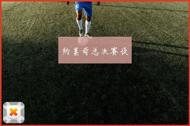 约基奇总决赛夜