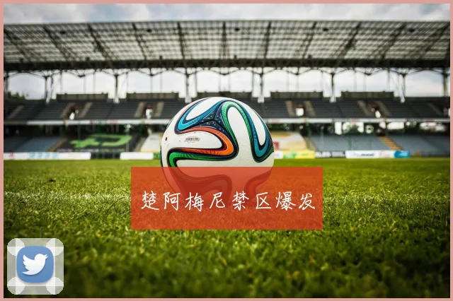 楚阿梅尼禁区爆发