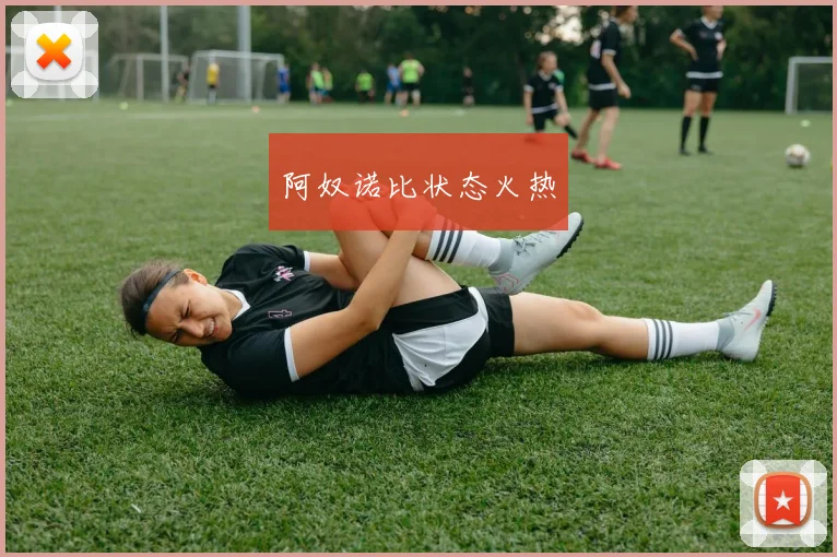 阿奴诺比状态火热