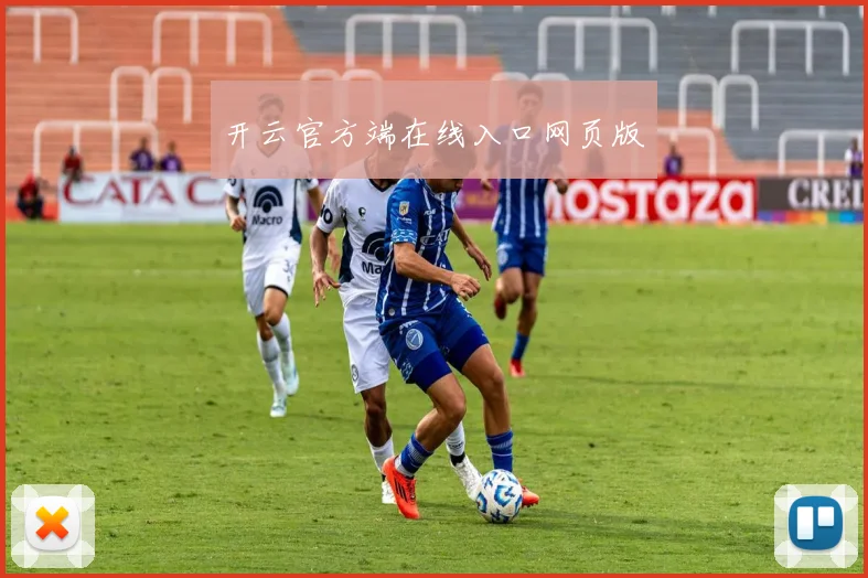 开云官方端在线入口网页版