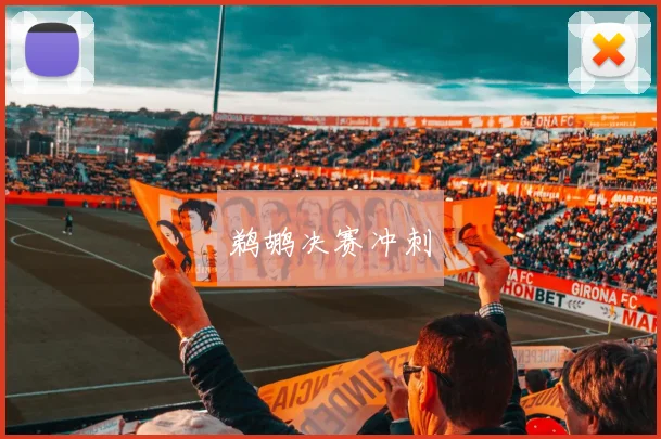 鹈鹕决赛冲刺