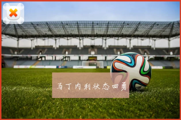 马丁内利状态回勇