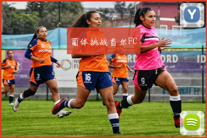 葡体挑战首尔FC