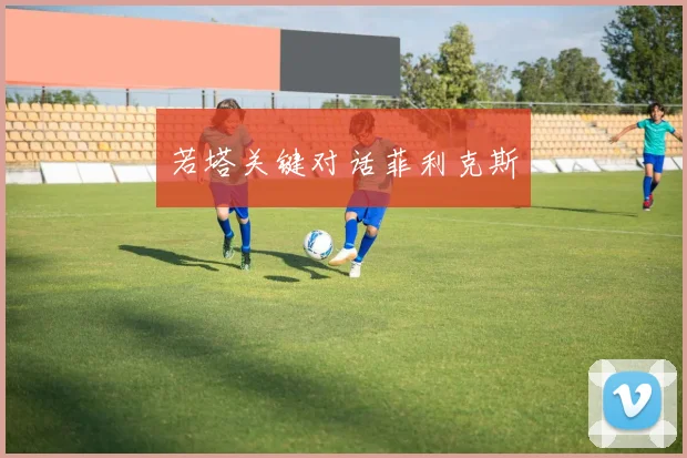 若塔关键对话菲利克斯