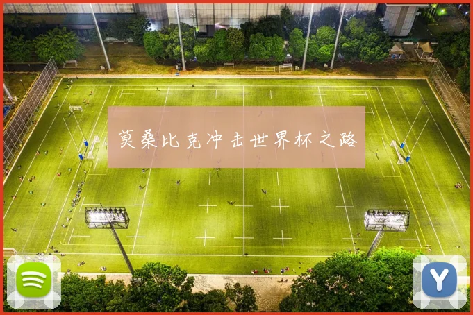 莫桑比克冲击世界杯之路