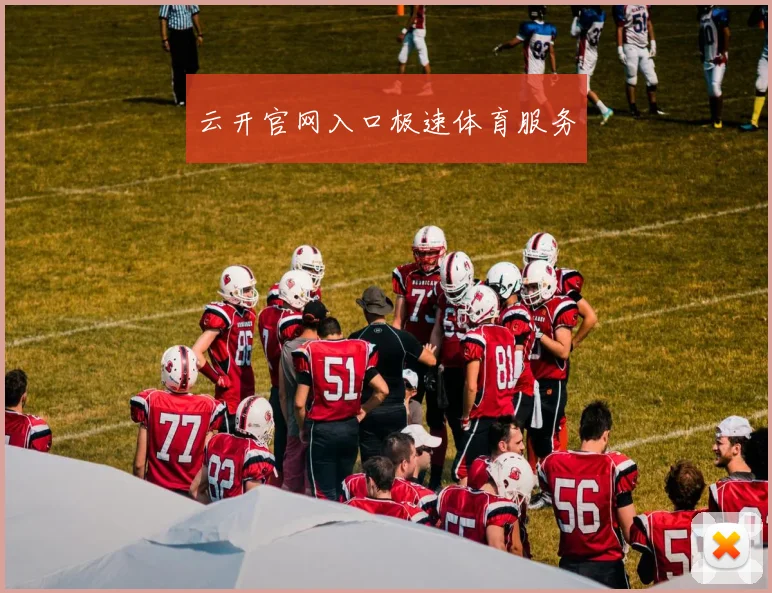 云开官网入口极速体育服务