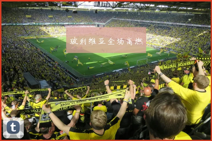 玻利维亚全场高燃
