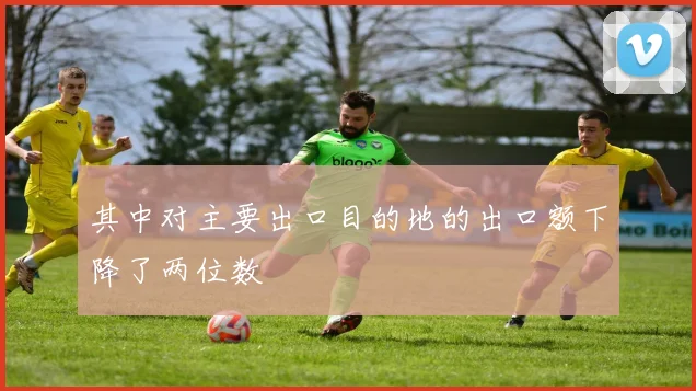 其中对主要出口目的地的出口额下降了两位数