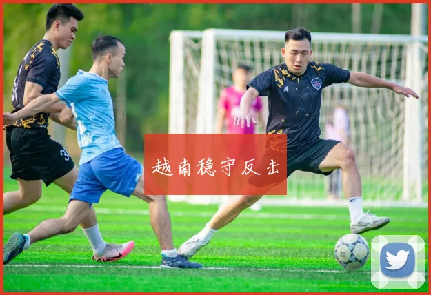 越南稳守反击