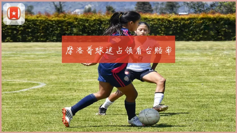 摩洛哥球迷占领看台赔率