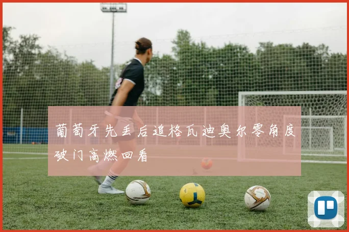 葡萄牙先丢后追格瓦迪奥尔零角度破门高燃回看