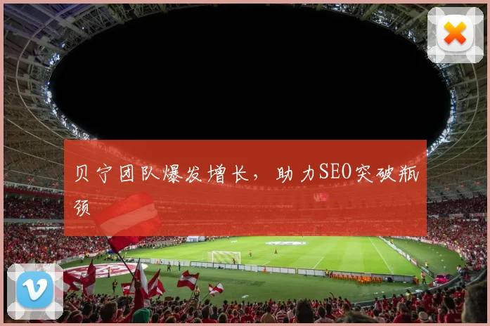 贝宁团队爆发增长，助力SEO突破瓶颈