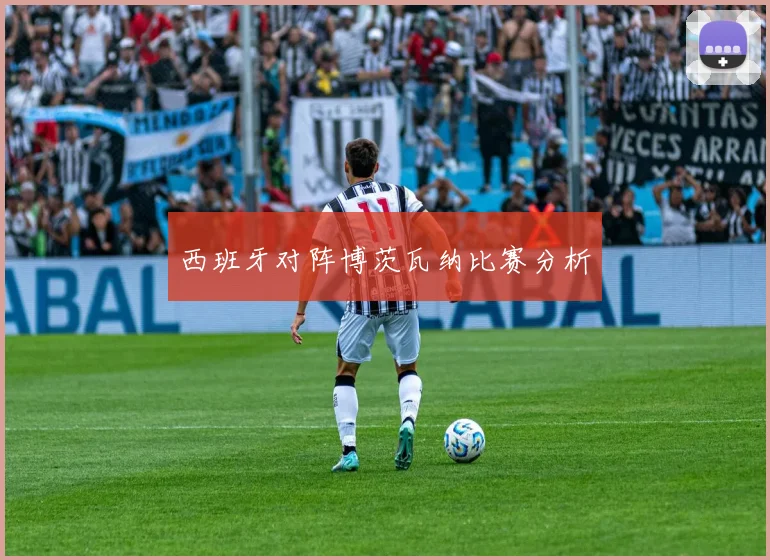 西班牙对阵博茨瓦纳比赛分析