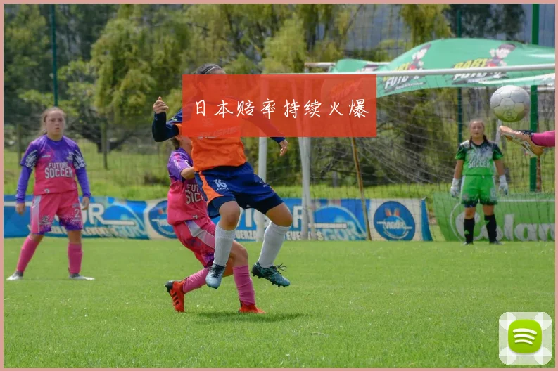 日本赔率持续火爆