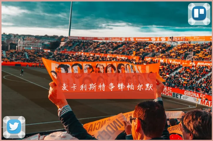 麦卡利斯特争锋帕尔默