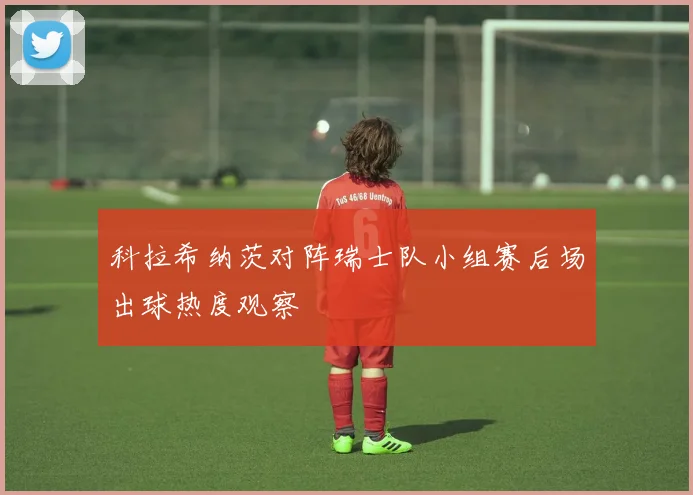 科拉希纳茨对阵瑞士队小组赛后场出球热度观察