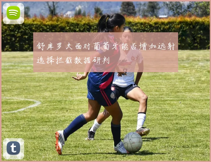 舒库罗夫面对葡萄牙能否增加远射选择拦截数据研判